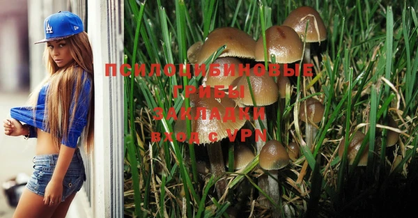 ГАЛЛЮЦИНОГЕННЫЕ ГРИБЫ Балабаново