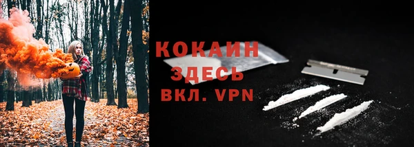 ГАЛЛЮЦИНОГЕННЫЕ ГРИБЫ Балабаново