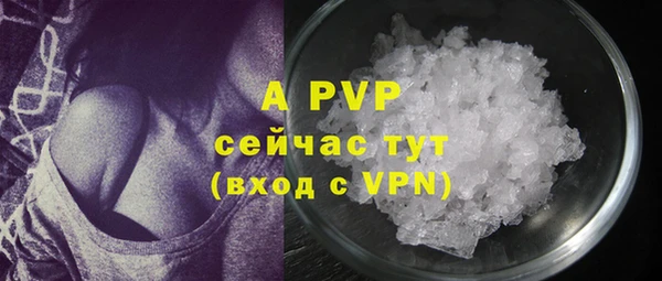 ГАЛЛЮЦИНОГЕННЫЕ ГРИБЫ Балабаново