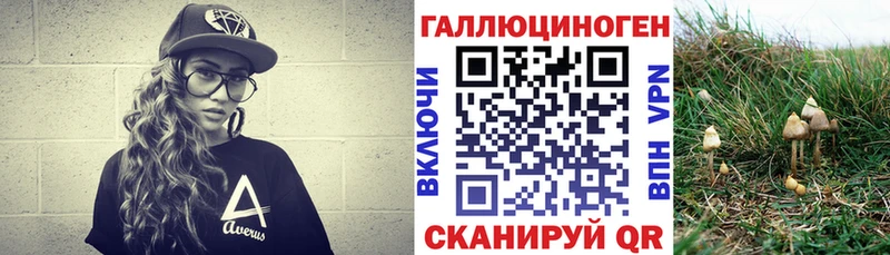 даркнет формула  гидра как зайти  Чухлома  Галлюциногенные грибы ЛСД 